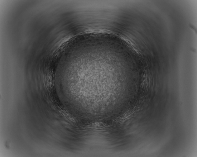 X0000097880966200803281220