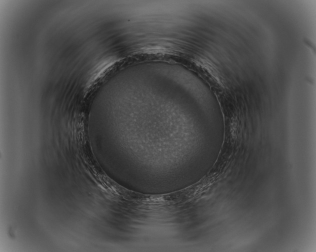 X0000097880968200803281220