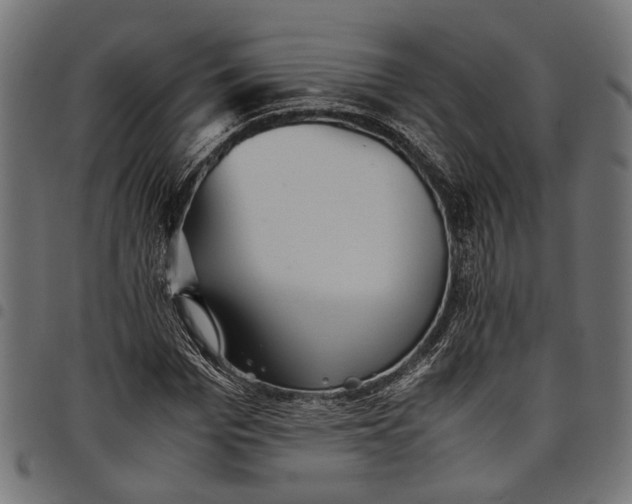 X0000097880969200803281220