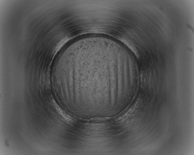 X0000097880972200803281220