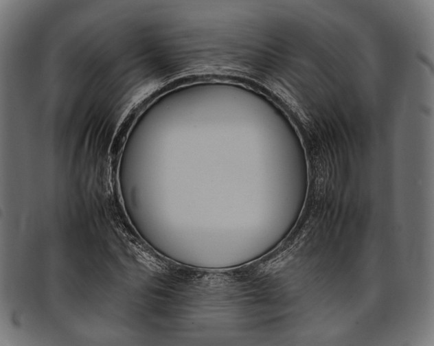 X0000097880974200803281220