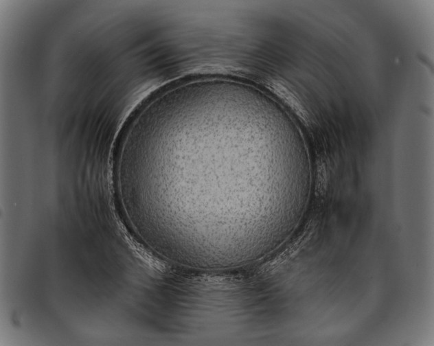 X0000097880976200803281220