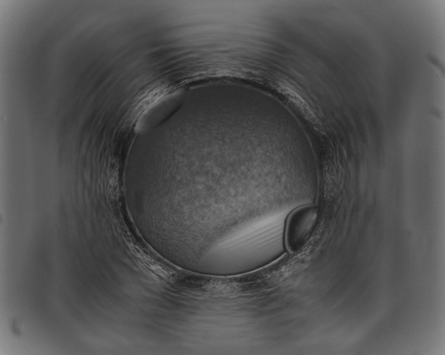 X0000097880977200803281220