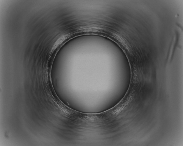 X0000097880978200803281220