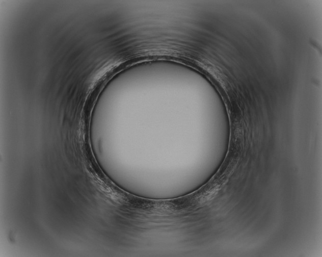 X0000097880979200803281220