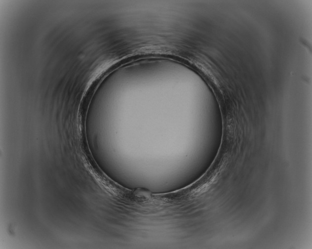 X0000097880981200803281220