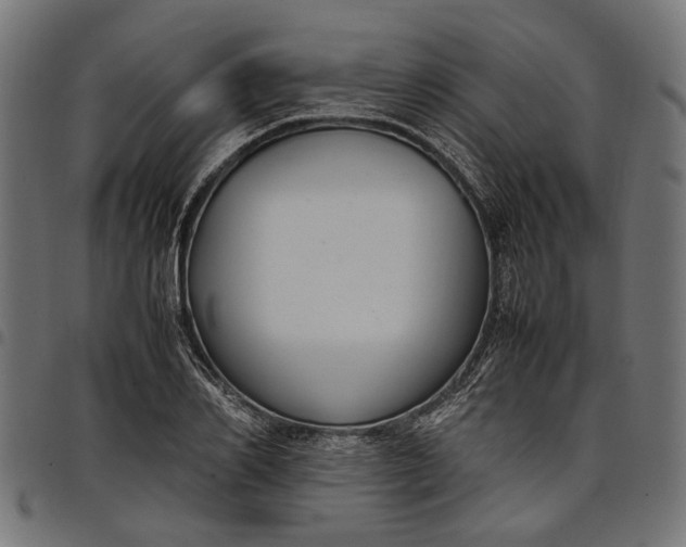 X0000097880982200803281219