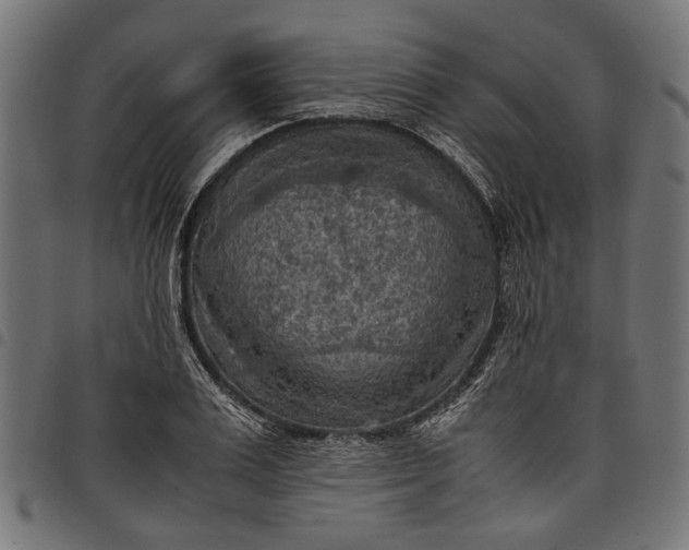 X0000097880983200803281219