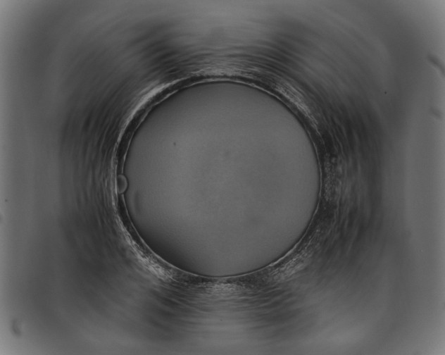 X0000097880984200803281219