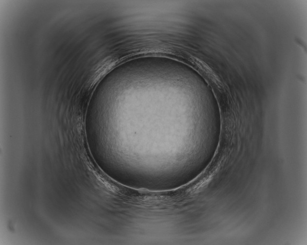 X0000097880985200803281219