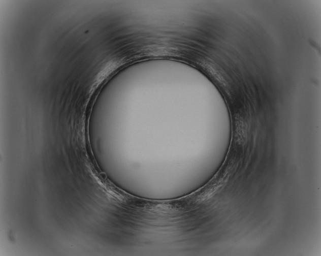 X0000097880986200803281219