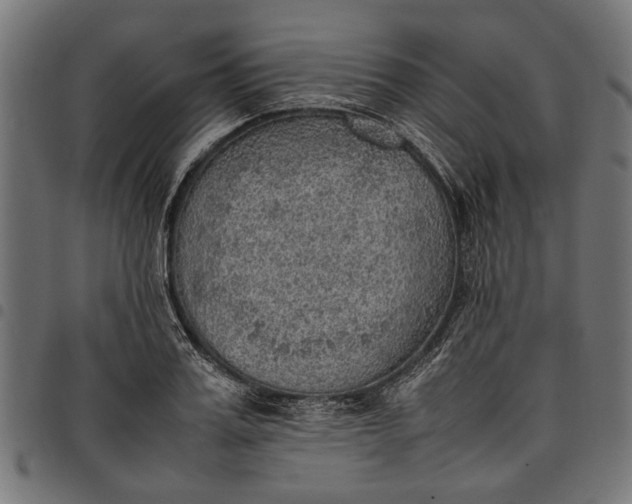 X0000097880987200803281219