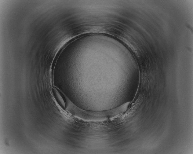 X0000097880988200803281219