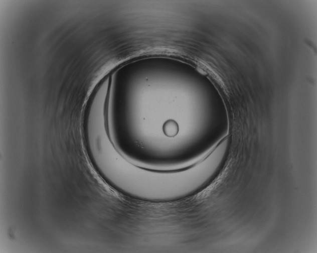 X0000097880989200803281219