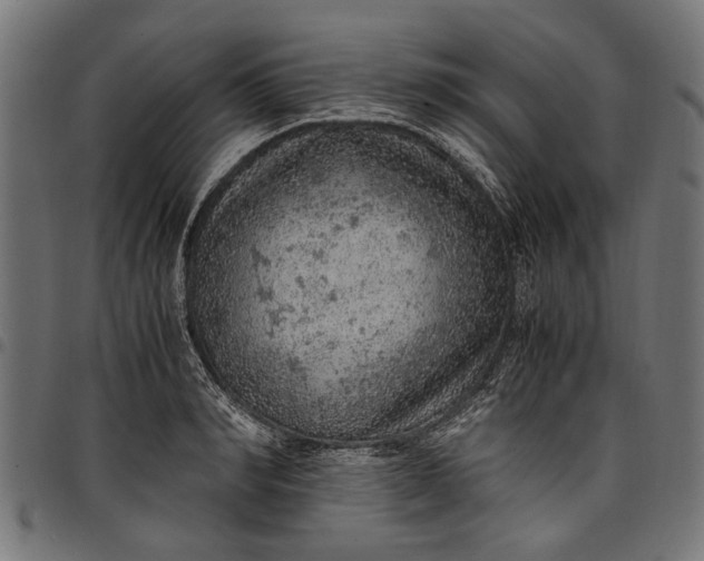 X0000097880990200803281219