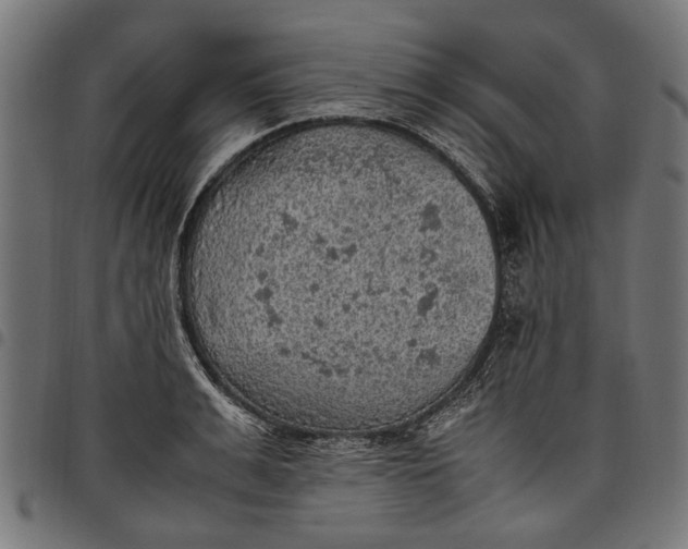 X0000097880991200803281219