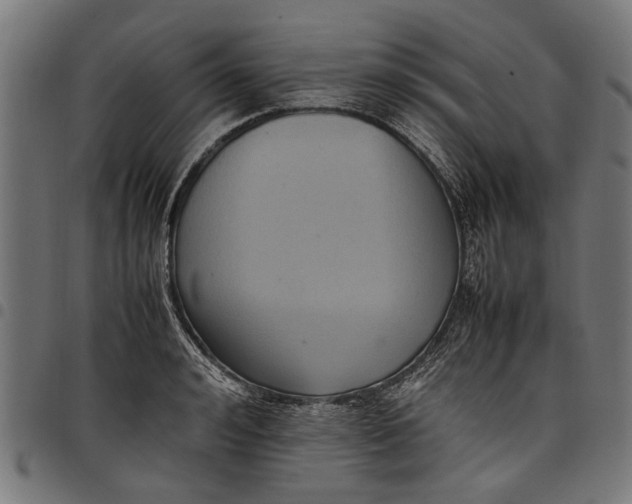 X0000097880992200803281219