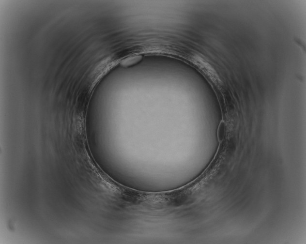 X0000097880993200803281219