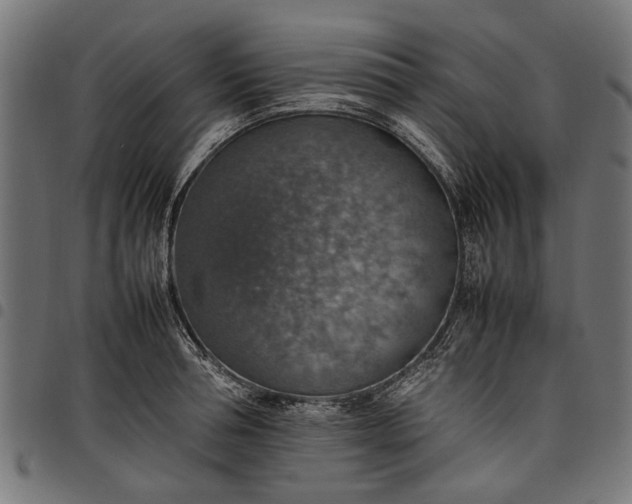 X0000097880994200803281219