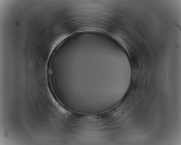 X0000097880995200803281219