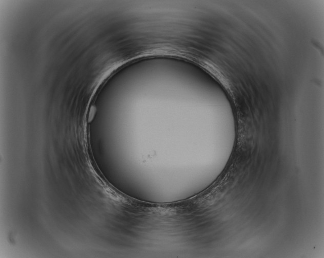 X0000097880996200803281219