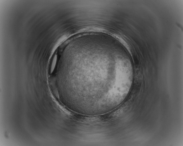 X0000097880997200803281219