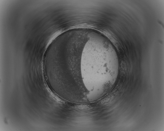 X0000097880998200803281219