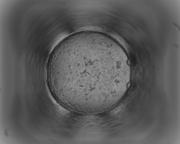 X0000097880999200803281219