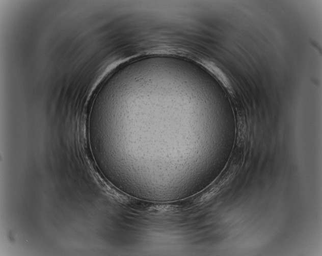 X0000097881000200803281219