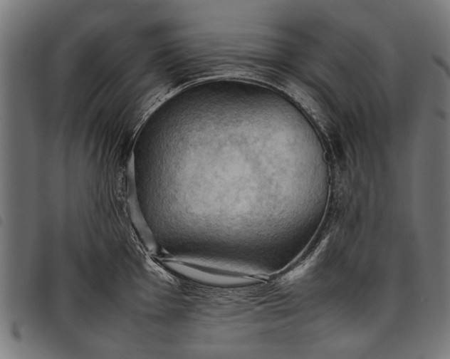 X0000097881001200803281219