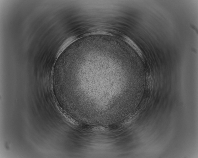 X0000097881002200803281219