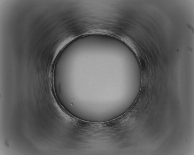 X0000097881003200803281219