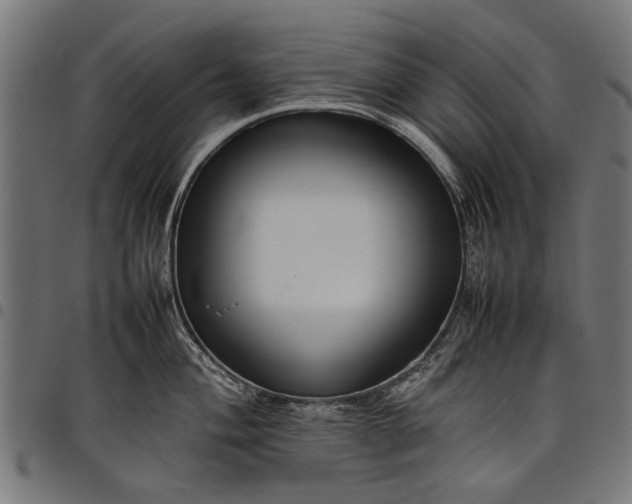 X0000097881004200803281219