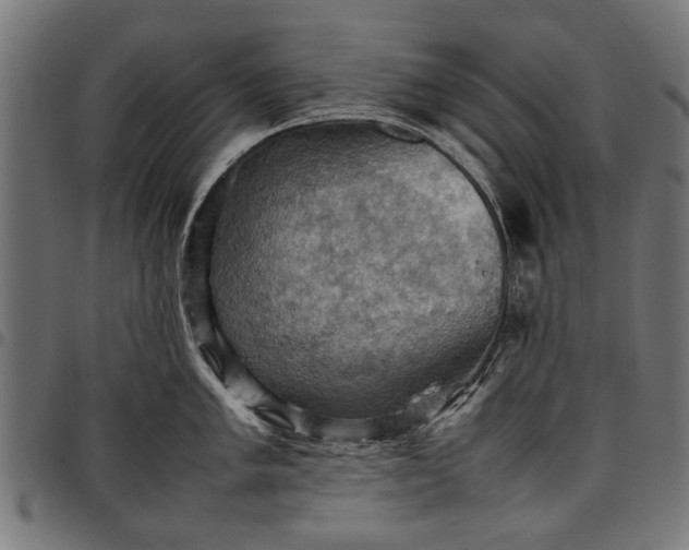 X0000097881005200803281219