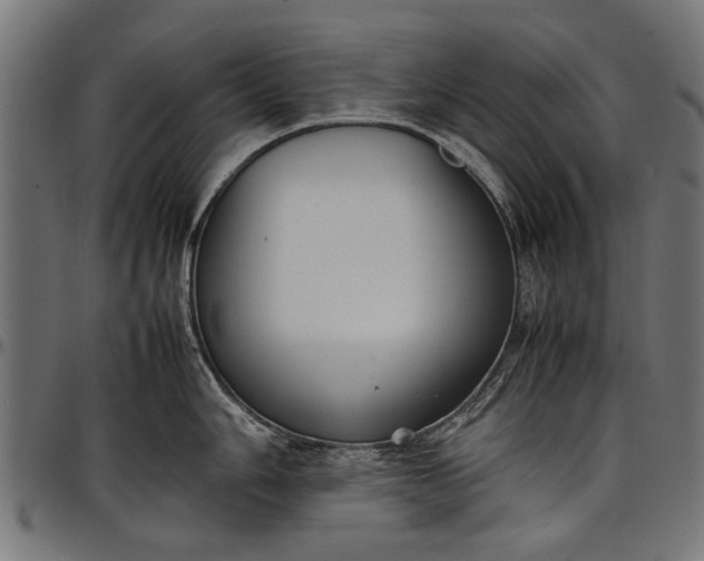 X0000097881006200803281219