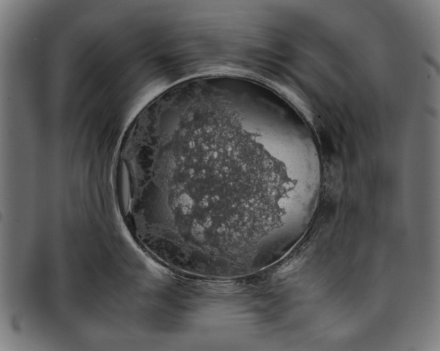 X0000097881007200803281219