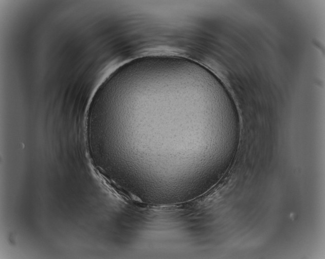 X0000097881008200803281219