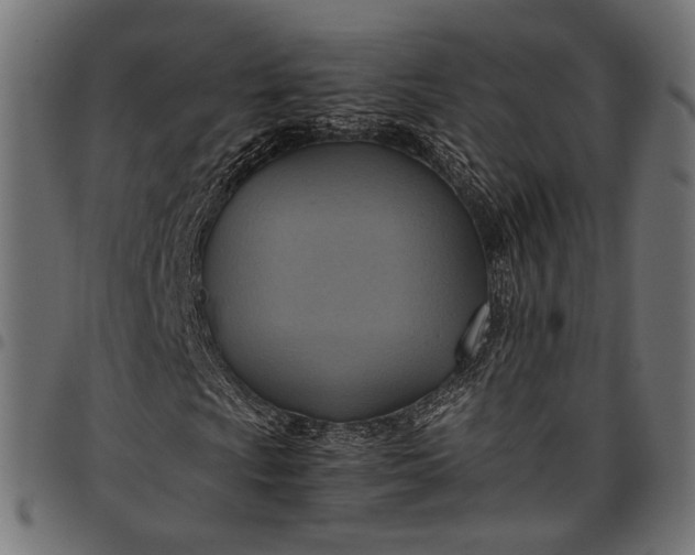 X0000097881009200803281218