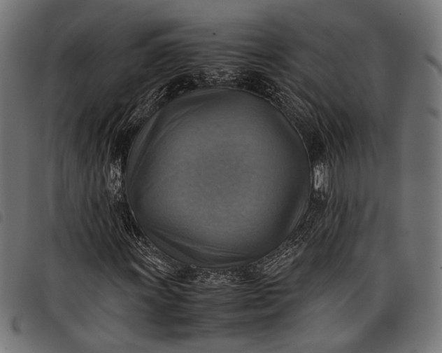 X0000097881011200803281218