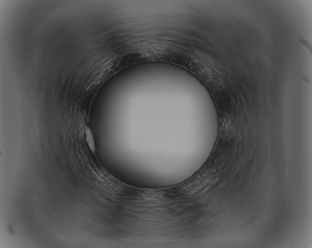 X0000097881012200803281218