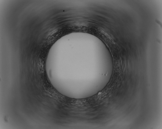 X0000097881013200803281218