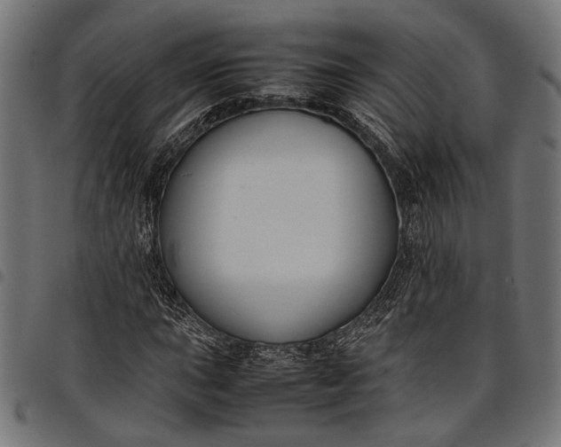 X0000097881015200803281219