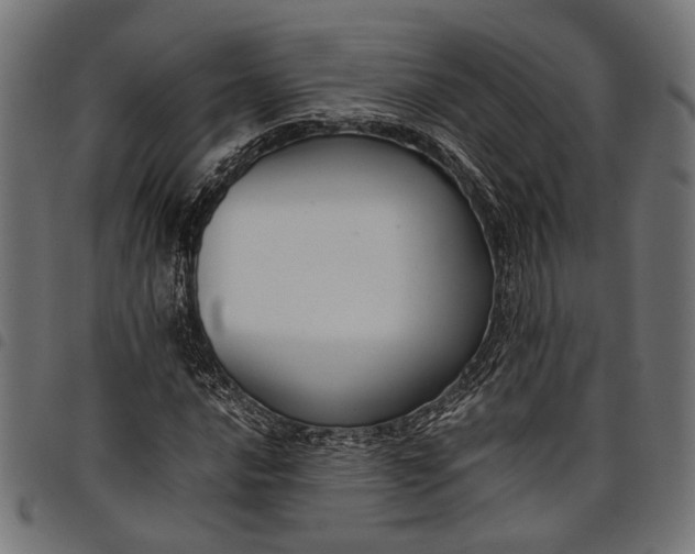 X0000097881016200803281219