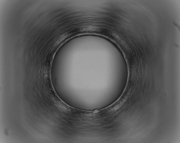 X0000097881017200803281219