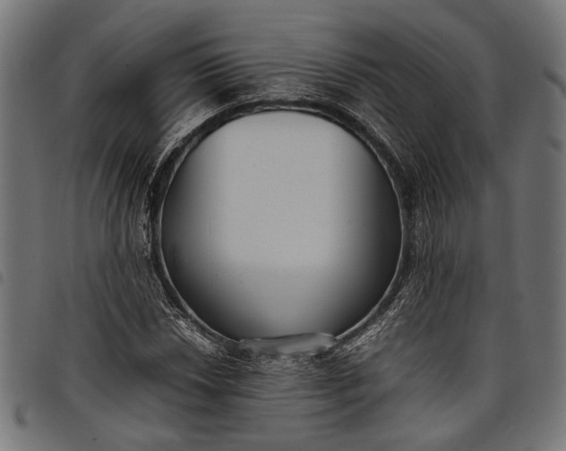 X0000097881018200803281219