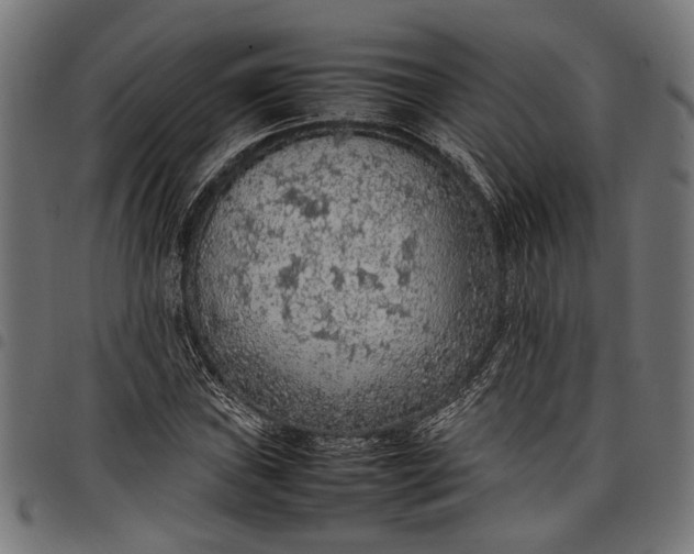 X0000097881019200803281219