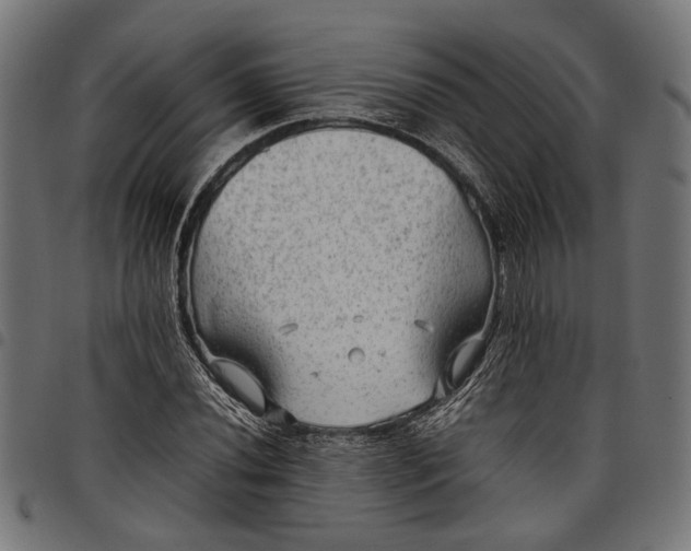 X0000097881020200803281219