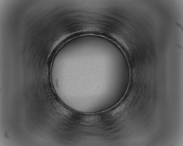 X0000097881021200803281219