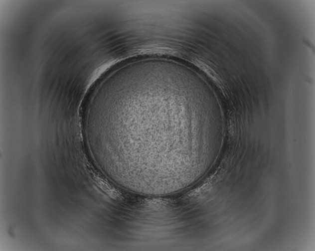 X0000097881022200803281219