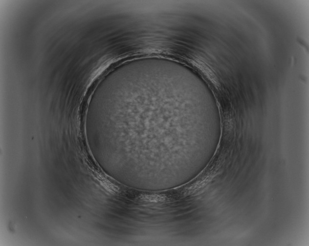 X0000097881023200803281219